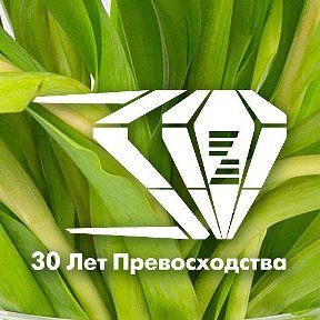 Zepter International | Сургут, ул. 30 лет Победы, 21, Сургут